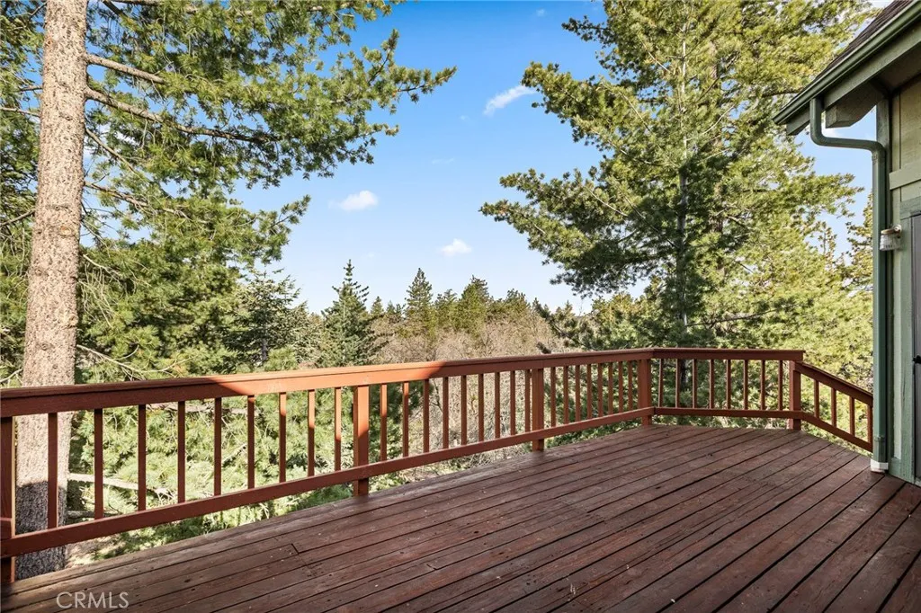 32424 Snowshoe Lane, Running Springs, California 92382 home-pic-13