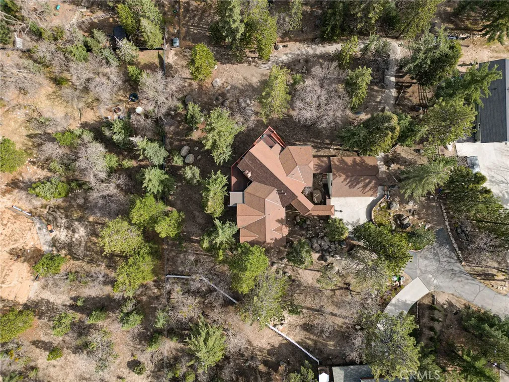 32424 Snowshoe Lane, Running Springs, California 92382 home-pic-59