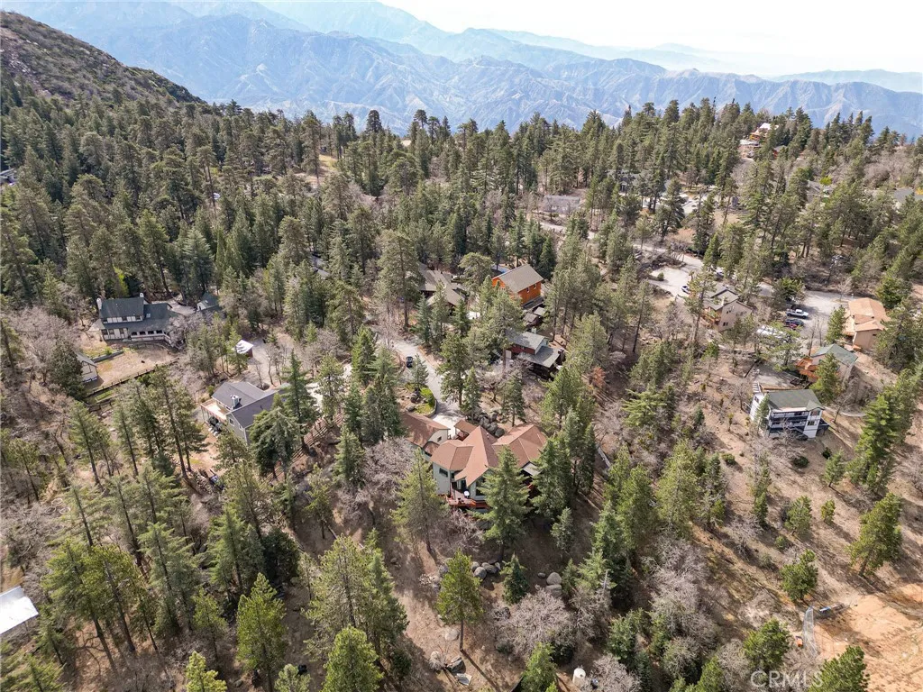 32424 Snowshoe Lane, Running Springs, California 92382 home-pic-60