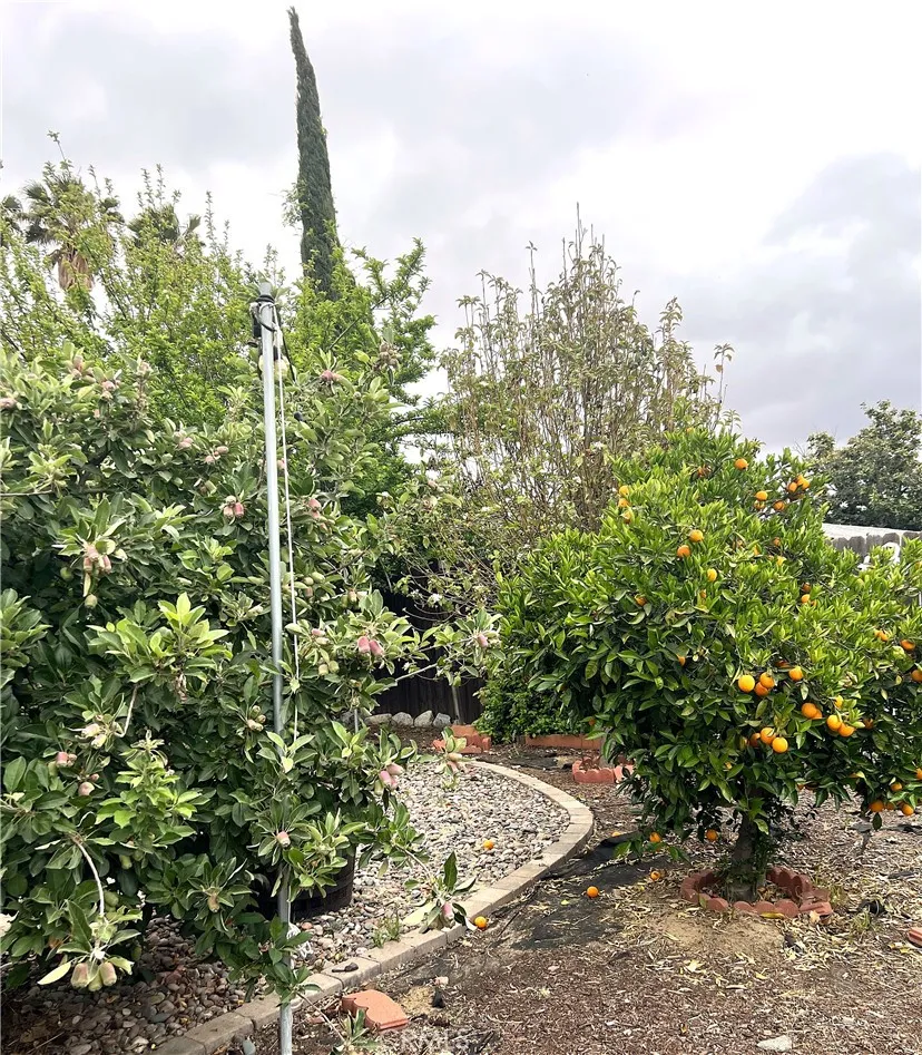 31768 Via Verde, Lake Elsinore, California 92530 home-pic-19