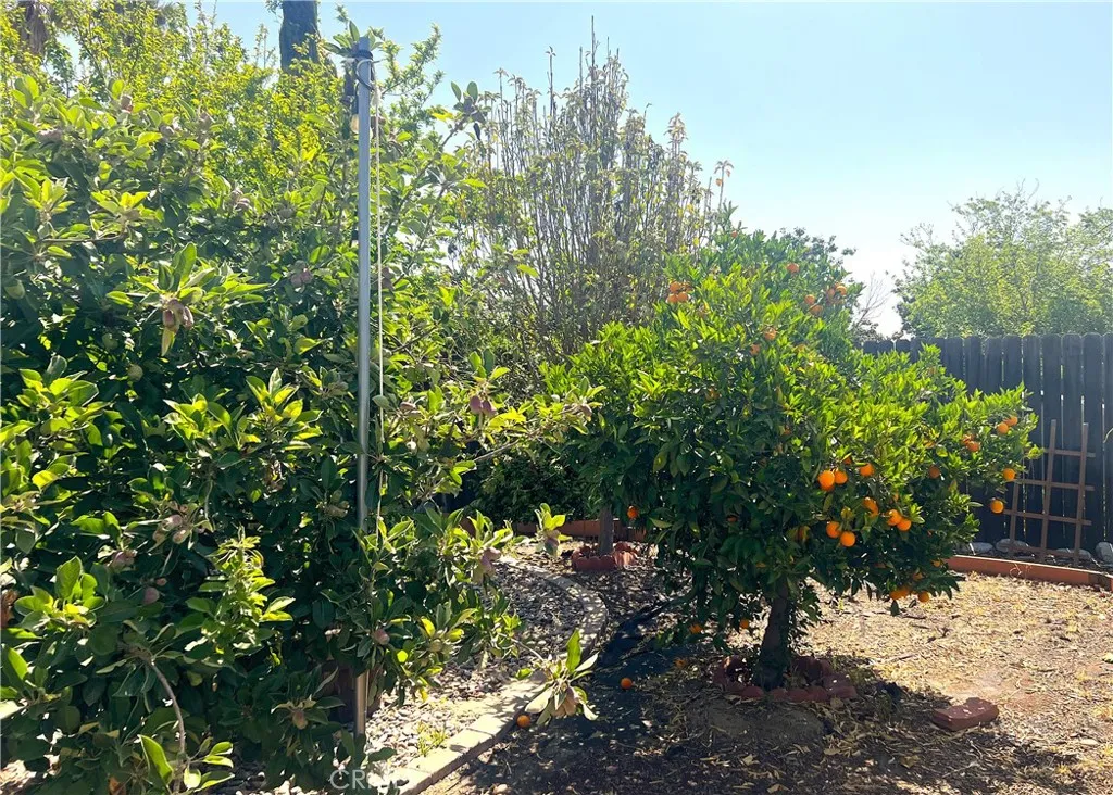 31768 Via Verde, Lake Elsinore, California 92530 home-pic-17
