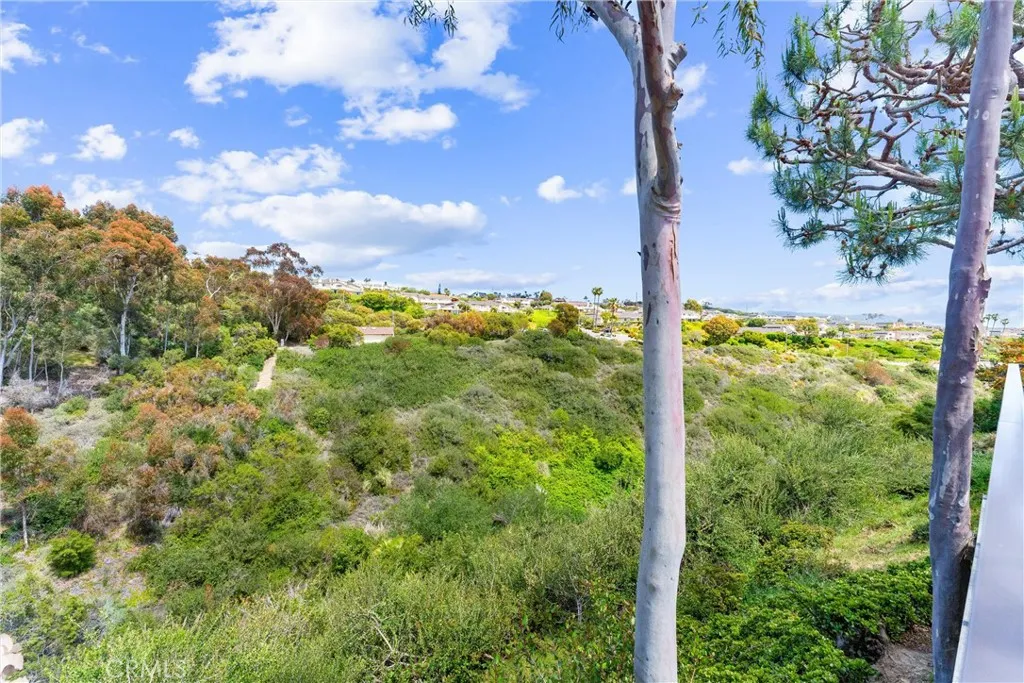 2245 Avenida Salvador, San Clemente, California 92672 home-pic-43