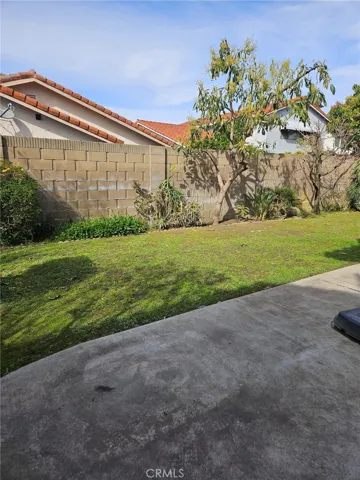 Spacious Backyard with beautiful Landscaping and a variety of Fruit Trees