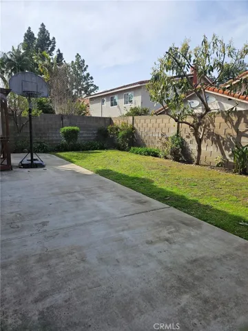 Spacious Backyard with beautiful Landscaping and a variety of Fruit Trees