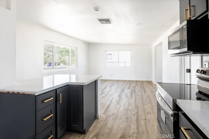 KITCHEN INTO LIVING ROOM
