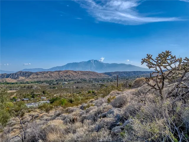 50125 Cedar Drive, Morongo Valley, California 92256