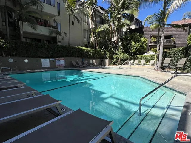 Bright swimmers pool and spa t