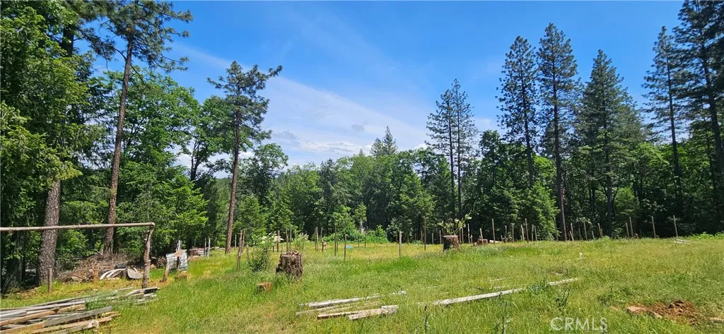 0 Little Bend Circle, Yankee Hill, California 95965