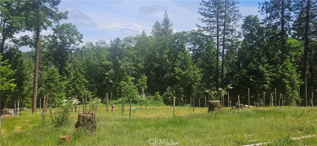 0 Little Bend Circle, Yankee Hill, California 95965