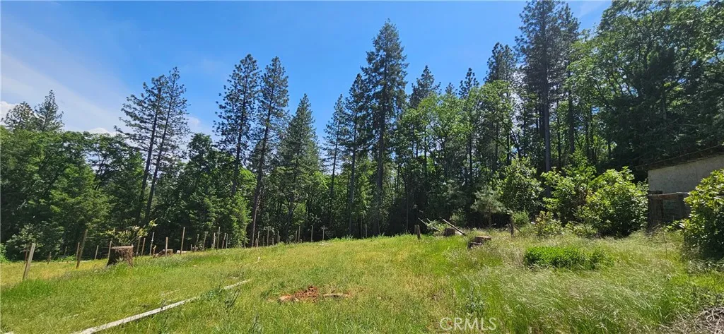 0 Little Bend Circle, Yankee Hill, California 95965