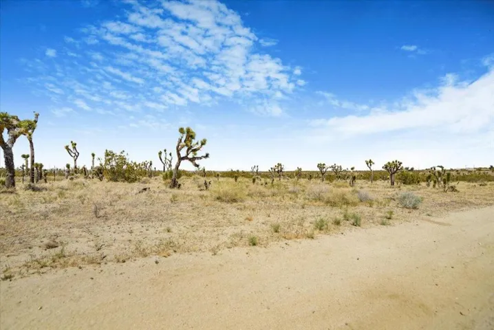 08-JTG0653