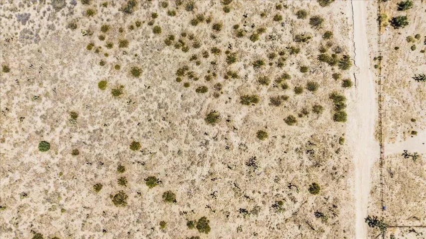 21-DJI_0230