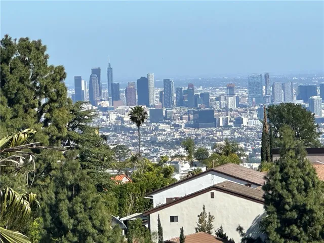 Views of downtown day