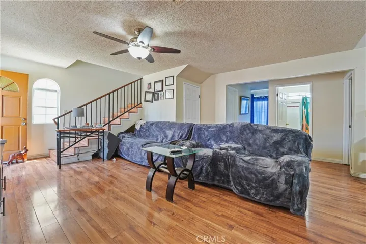 Large Living Room