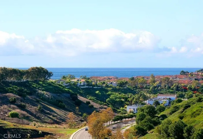 5 Tawny, Dana Point, California 92629