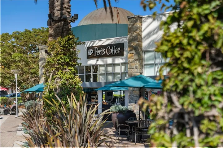 5 Tawny, Dana Point, California 92629