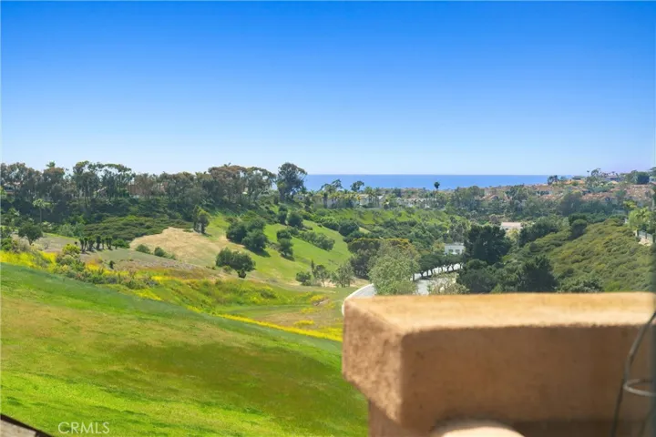 5 Tawny, Dana Point, California 92629