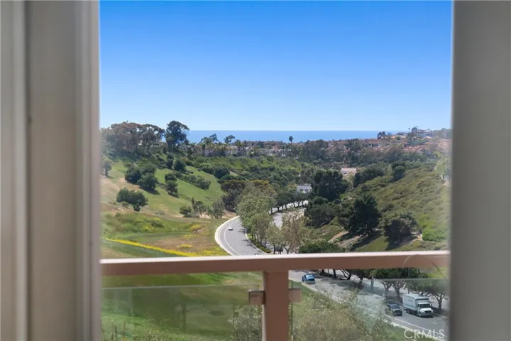 5 Tawny, Dana Point, California 92629