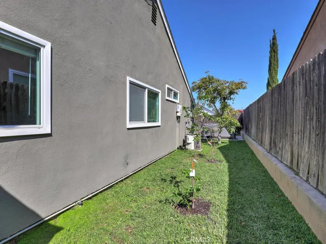 Side yard with fruit trees