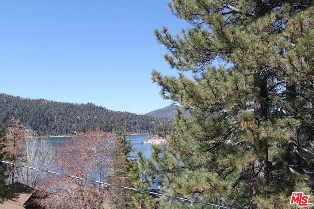 772 Cove Drive, Big Bear, California 92315 home-pic-3