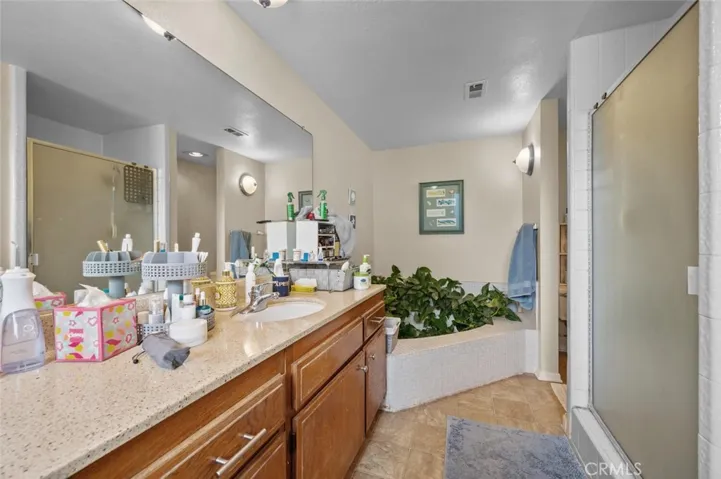 Master bathroom with oversized tub and separate shower