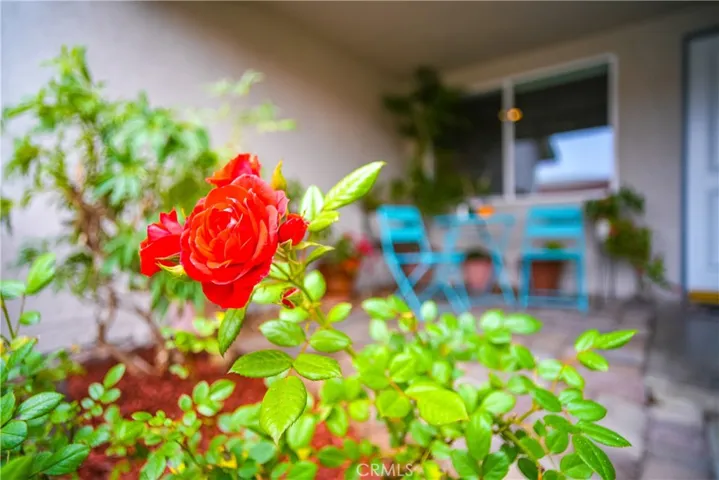 1633 Summer Lawn Way, Hacienda Heights, California 91745