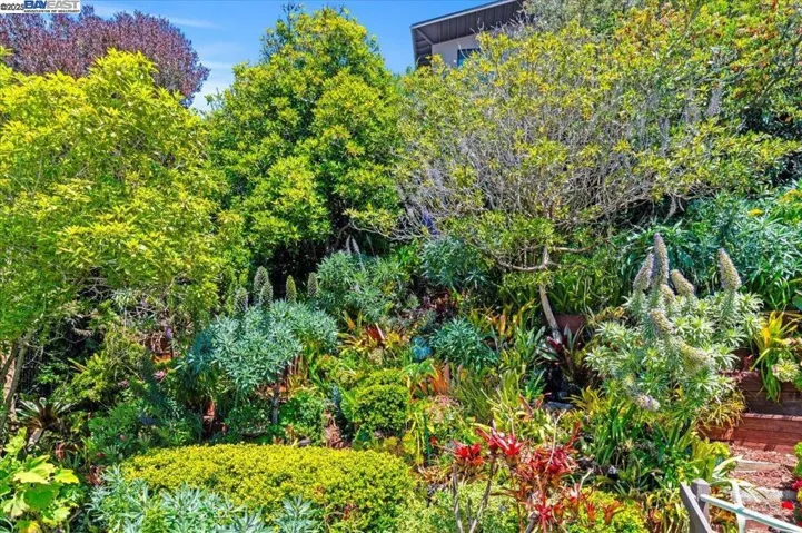 167 Cresta Vista Dr, San Francisco, California 94127