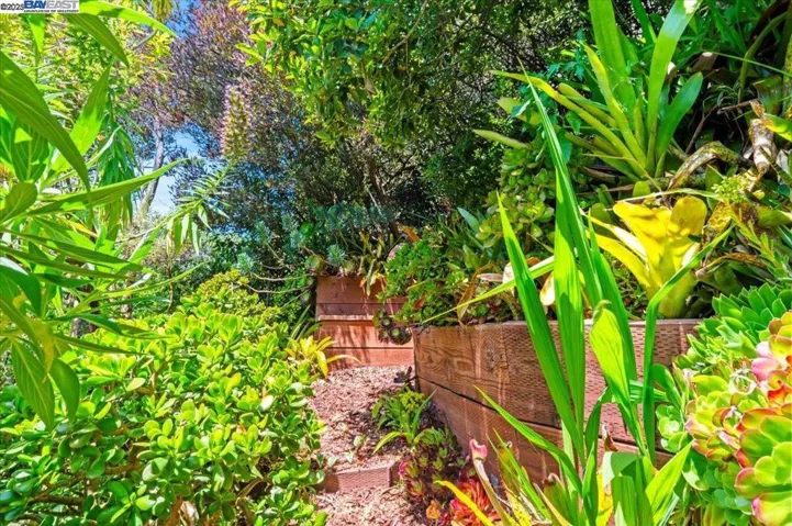 167 Cresta Vista Dr, San Francisco, California 94127
