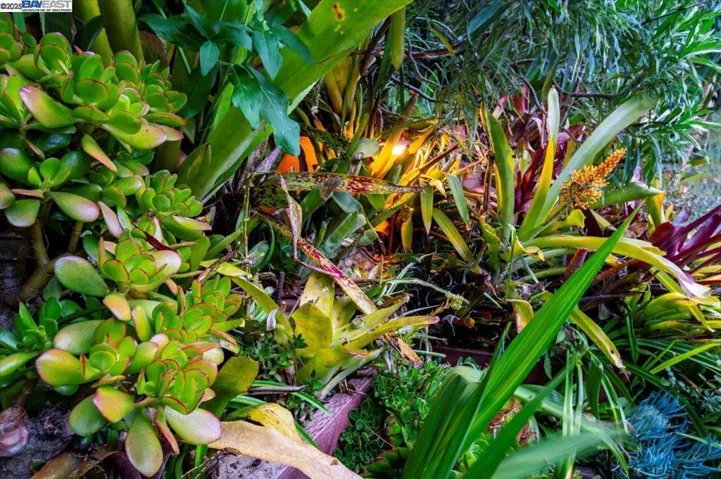 167 Cresta Vista Dr, San Francisco, California 94127
