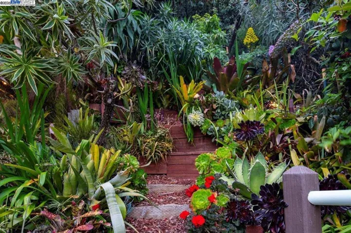 167 Cresta Vista Dr, San Francisco, California 94127