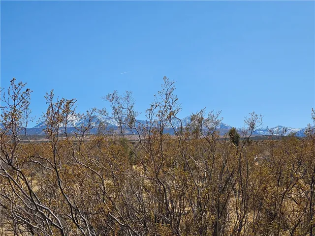 0 Avenue R, Palmdale, California 93591 — photo 5