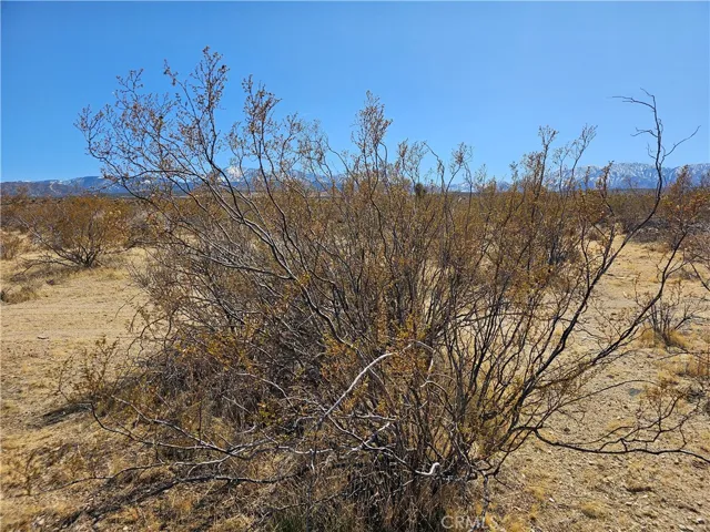 0 Avenue R, Palmdale, California 93591 — photo 4