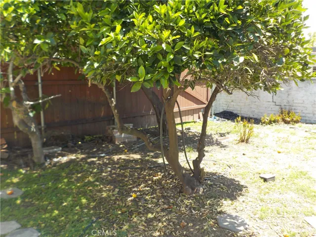 Side yard