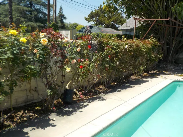 Back landscaping