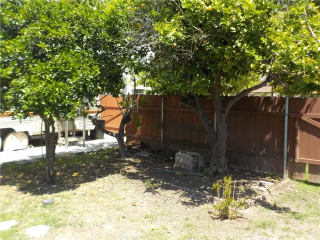 Side yard/ other