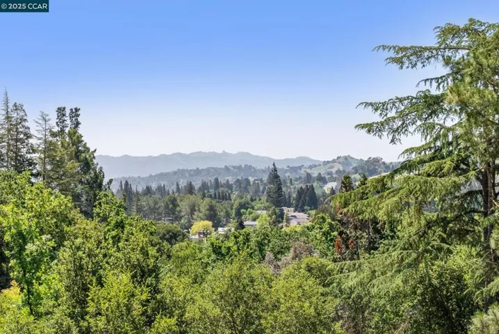 14 Pillon Real, Pleasant Hill, California 94523