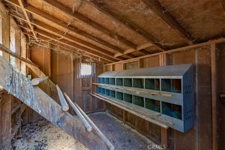 Inside the chicken coop