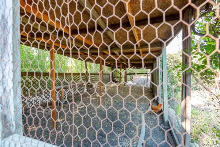 The chicken run to keep them safe at night.