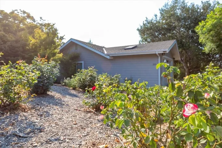 Over 60 roses are in bloom and watered by a drip irrigation system