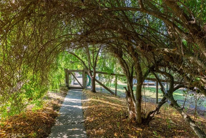 Tree shaded walkway down to the orchard