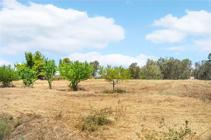 5456 Edith Avenue, Corning, California 96021