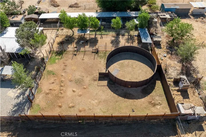 Horse Arena