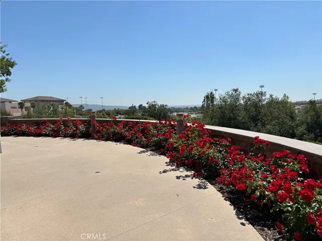 Enjoy a great view in the club house.