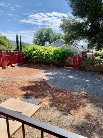 Back yard