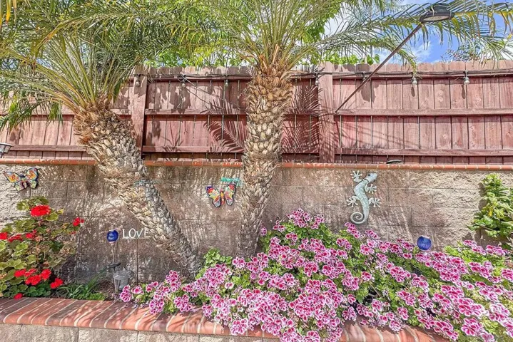 1996 Valley Rim Rd, El Cajon, California 92019