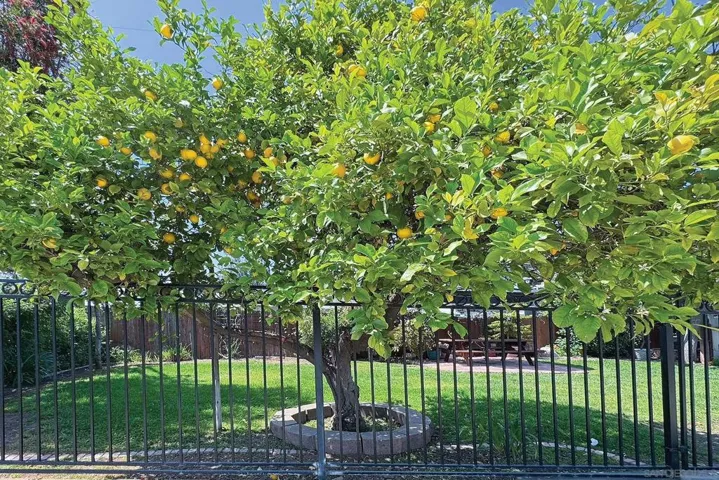 1996 Valley Rim Rd, El Cajon, California 92019