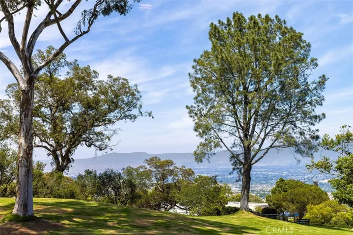 21552 Treetop Lane, Laguna Beach, California 92651