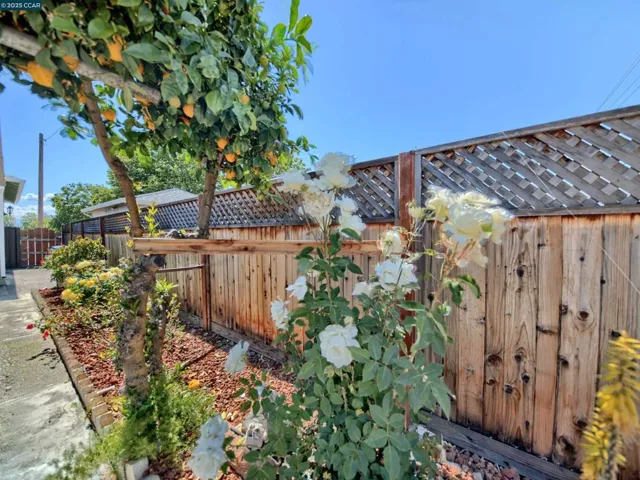 848 Linda Vista Street, San Jose, California 95127-1123
