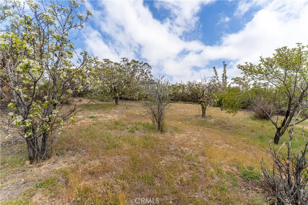 29972 Chihuahua Valley Road, Warner Springs, California 92086 home-pic-42