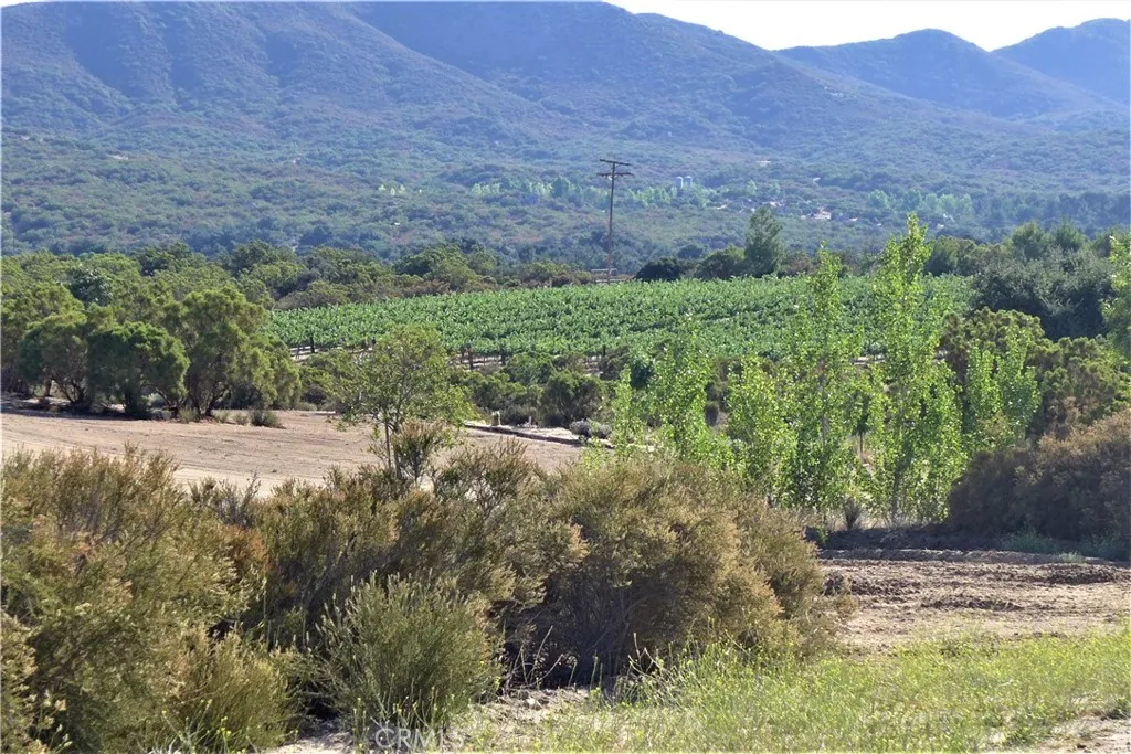 29972 Chihuahua Valley Road, Warner Springs, California 92086 home-pic-32